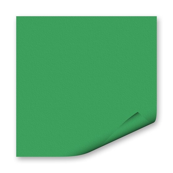FOLIA Бумага цветная, 130 г/м2, A4, 20 л, зеленый изумрудный