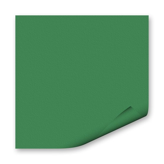 FOLIA Бумага цветная, 130 г/м2, A4, 20 л, зеленый мох