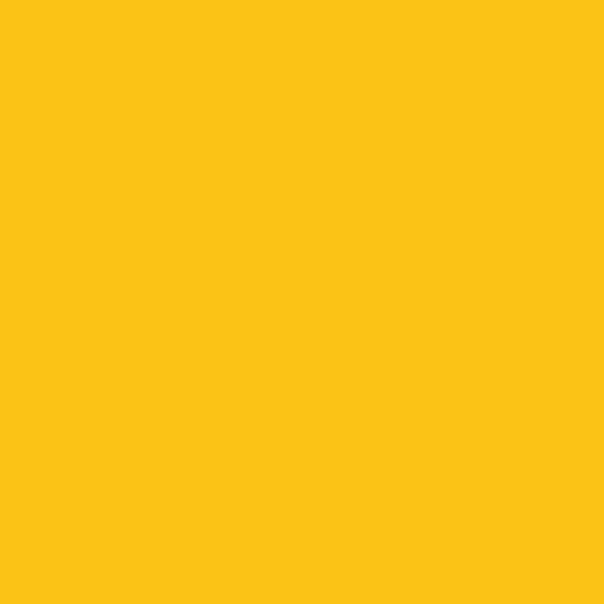 FOLIA Бумага цветная, 300 г/м2, A4, 10 л, желтый золотистый