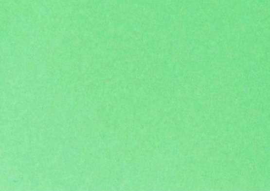 FOLIA Бумага цветная, 300 г/м2, A4, 10 л, зеленый изумруд