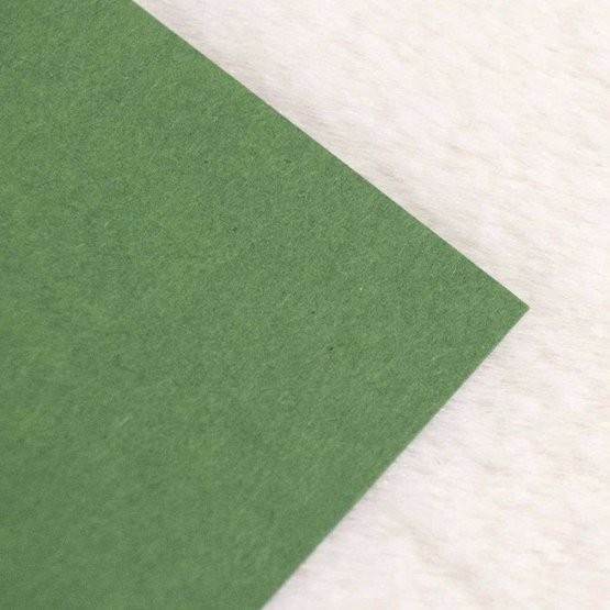 FOLIA Бумага цветная, 300 г/м2, A4, 10 л, зеленый мох